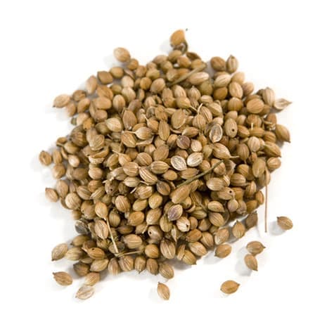 Кориандр посевной (coriandrum sativum)