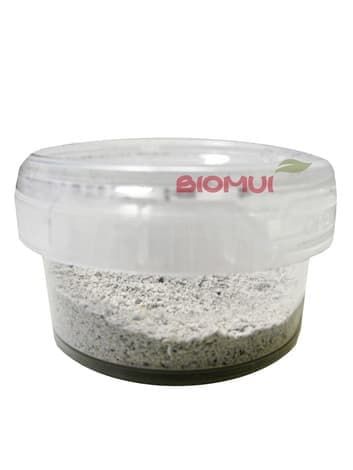 Натуральная маска-скраб из морских ракушек 