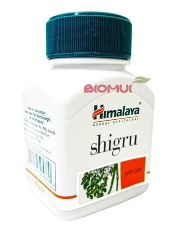 Моринга (Ширгу Shigru) (Moringa oleifera) 