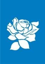 Самоклеющийся трафарет "Damascus rose"